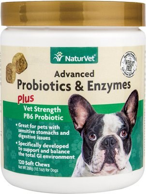 pet probiotics for dogs