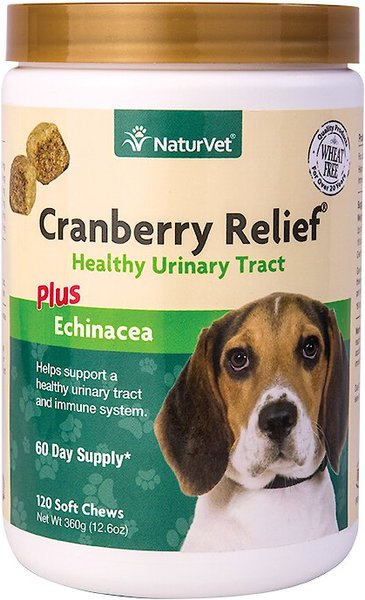 NaturVet Cranberry Relief Plus Echinacea Soft Chews Urinary Supplement for Dogs, 120 count slide 1 of 3