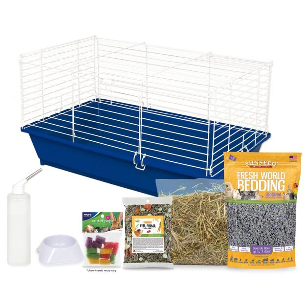 kaytee guinea pig starter kit
