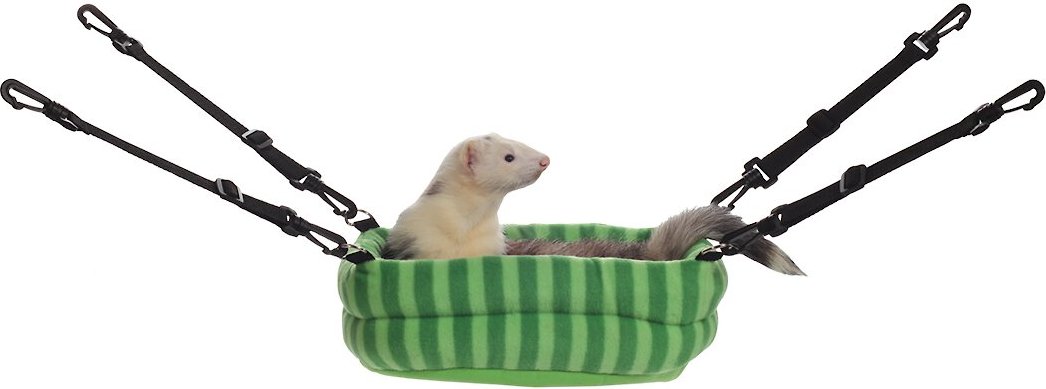 ...the perfect ferret accessory that hangs or sits in your ferretâ € ™ s ca...