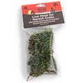 Fluker's Live Moss for Hermit Crabs, .5-oz bag