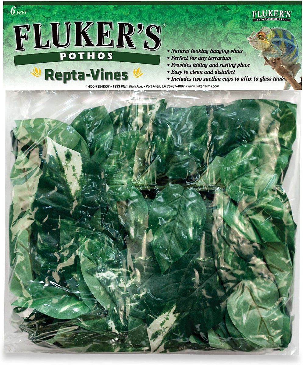 Flukers Repta Vines-English Ivy for Reptiles and Amphibians