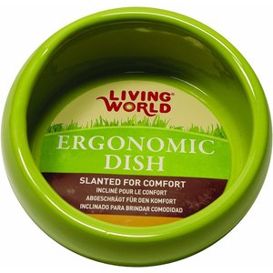 Living World Green Ergonomic Small Pet Dish, Small