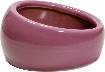 Ergonomic Bowl