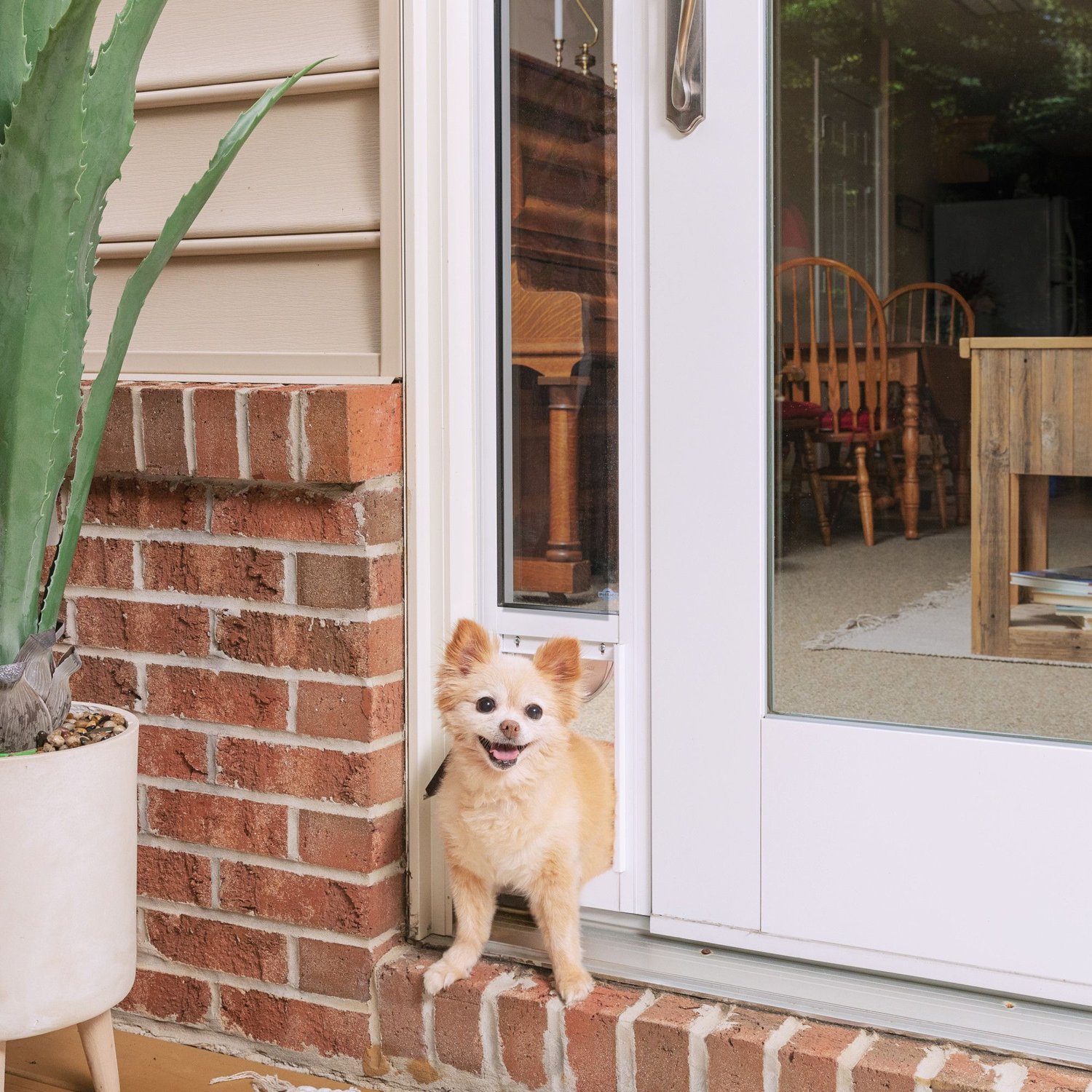 dog door insert sliding glass door