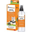 ThunderEssence Natural Essential Oil Calming Spray for Dogs, 4-oz