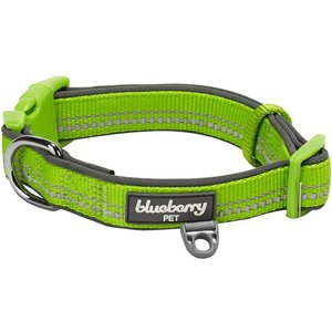 Blueberry Pet 3M Spring Pastel Polyester Reflective Dog Collar, Pastel Green, Small: 12 to 16-in neck, 5/8-in wide