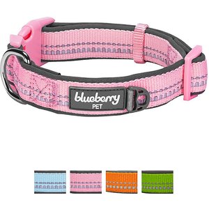 Blueberry Pet 3M Spring Pastel Polyester Reflective Dog Collar, Baby Pink, Medium: 14.5 to 20-in neck, 3/4-in wide