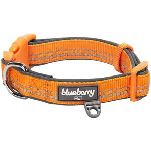 Blueberry Pet 3M Spring Pastel Polyester Reflective Dog Collar, Pastel Orange, Medium: 14.5 to 20-in neck, 3/4-in wide