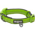 Blueberry Pet 3M Spring Pastel Polyester Reflective Dog Collar, Pastel Green, Medium: 14.5 to 20-in neck, 3/4-in wide