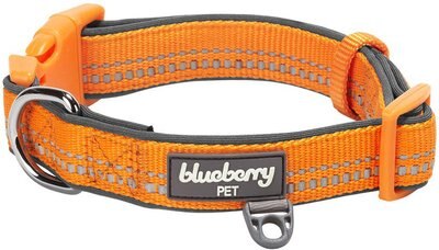 Blueberry Pet 3M Spring Pastel Polyester Reflective Dog Collar, slide 1 of 1