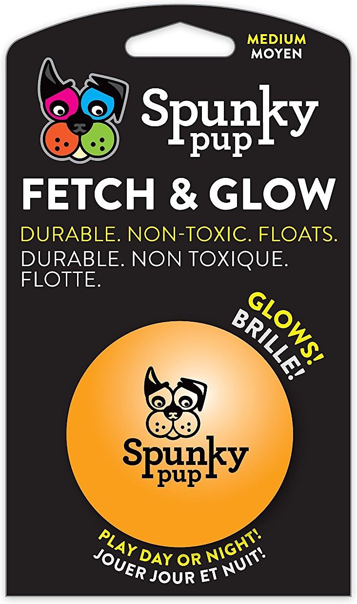 SPUNKY PUP Fetch \u0026 Glow Ball Dog Toy 