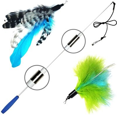 Pet Fit For Life 2 Feather Retractable Wand Cat Toy, Blue & Green, slide 1 of 1