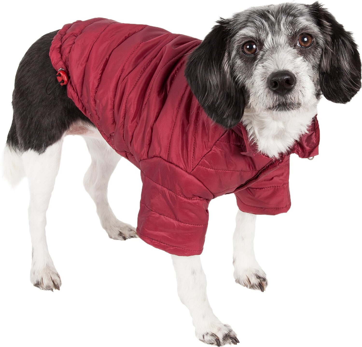 Pet Life Lightweight Sporty Avalanche Dog Coat, Medium, Red - Chewy.com
