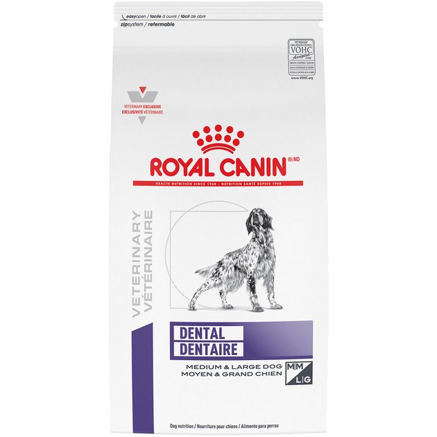 royal canin dental cat food