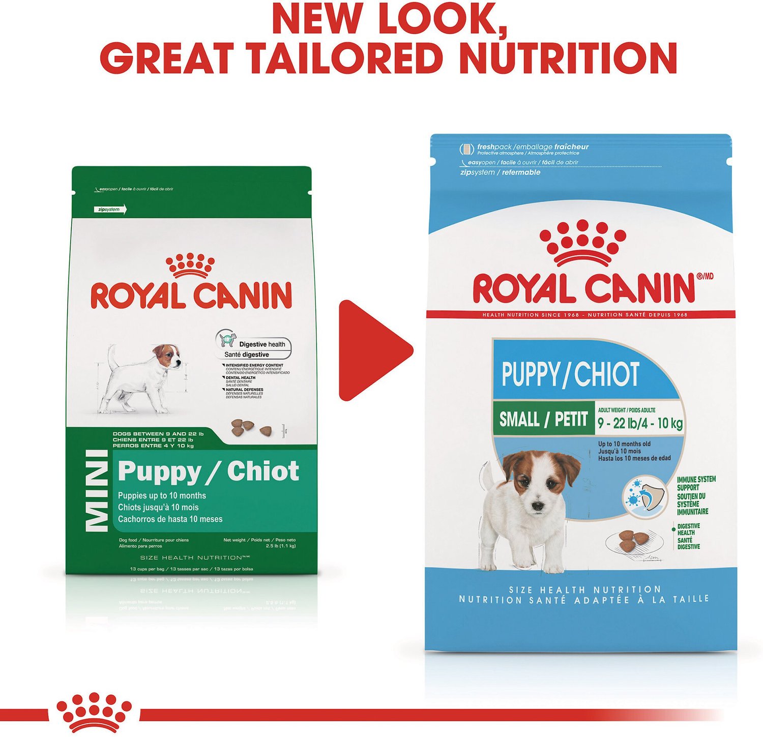 Royal Canin Mini Puppy Dry Dog Food, 13-lb bag - Chewy.com