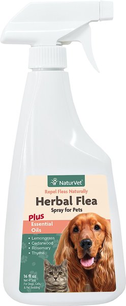 NaturVet Herbal Flea Dog & Cat Spray, 16-oz spray bottle slide 1 of 4