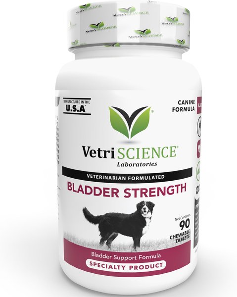 VetriScience Bladder Strength Chewable Tablets Urinary Supplement for Dogs, 90 count slide 1 of 5