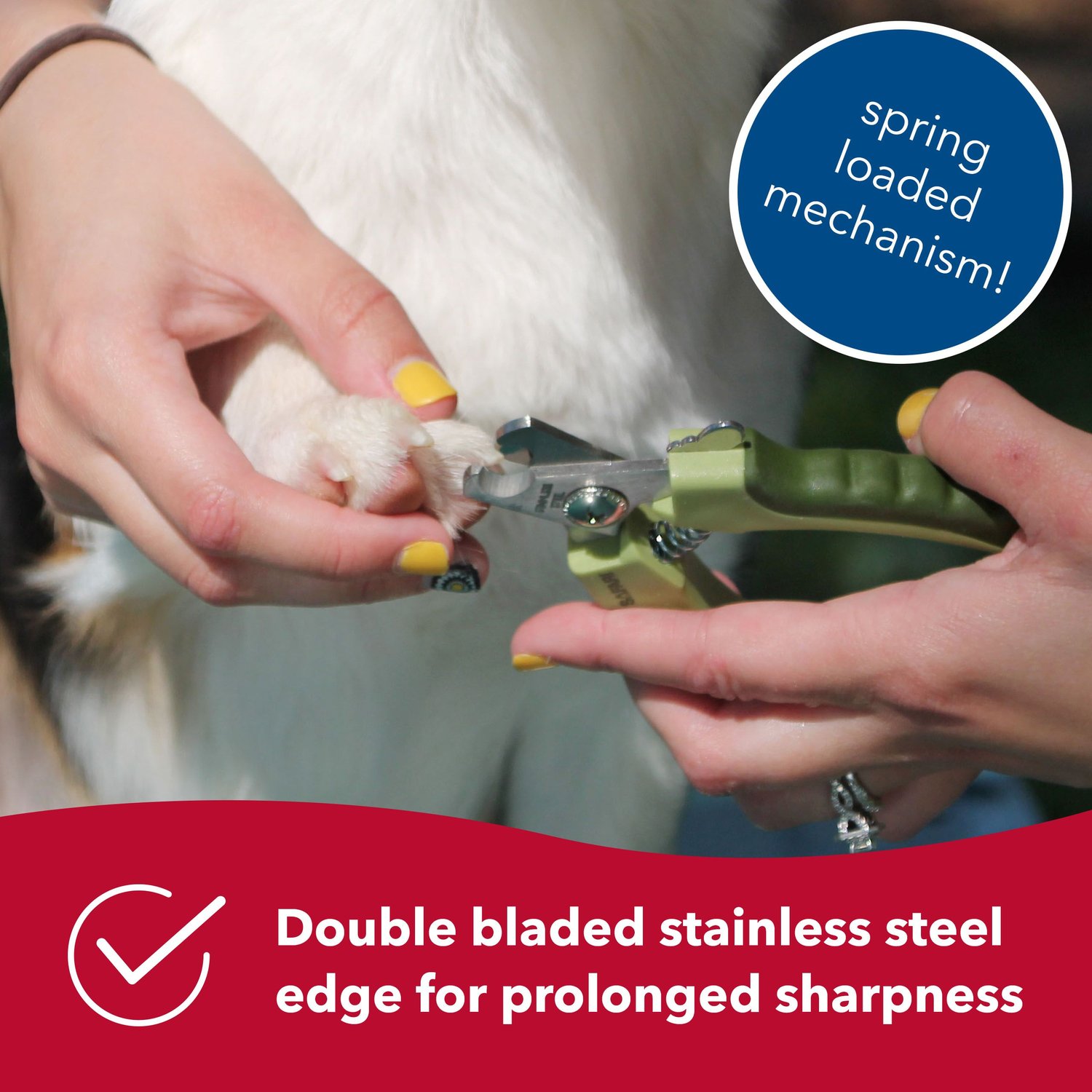safari professional stainless steel nail trimmer for dogs