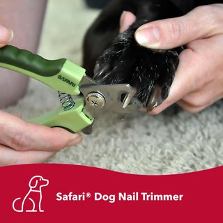 safari dog nail trimmer
