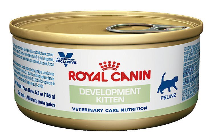Royal Canin Veterinary Diet Development Kitten Canned Cat Food, 5.8-oz ...
