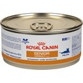 Royal Canin Veterinary Diet Feline Renal Support Early Consult Loaf in Sauce Wet Cat Food
