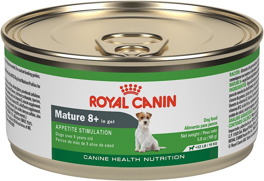 Royal Canin Mature 8+ Canned Dog Food, 5.8-oz, case of 24 - Chewy.com