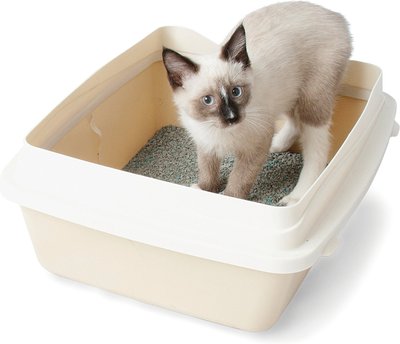 Petmate Large Cat Litter Pan With Rim, Color Varies, slide 1 of 1