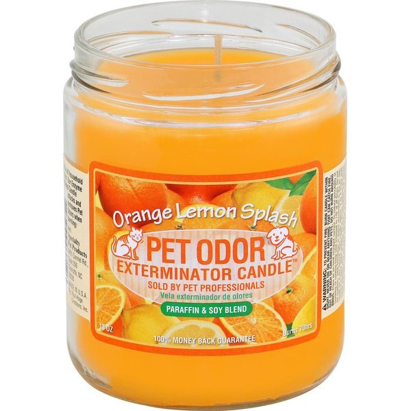13 oz Cinnamon Apple Pet Odor Exterminator Candle 
