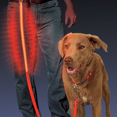 Nite Ize Nite Dawg LED Nylon Dog Leash, slide 1 of 1