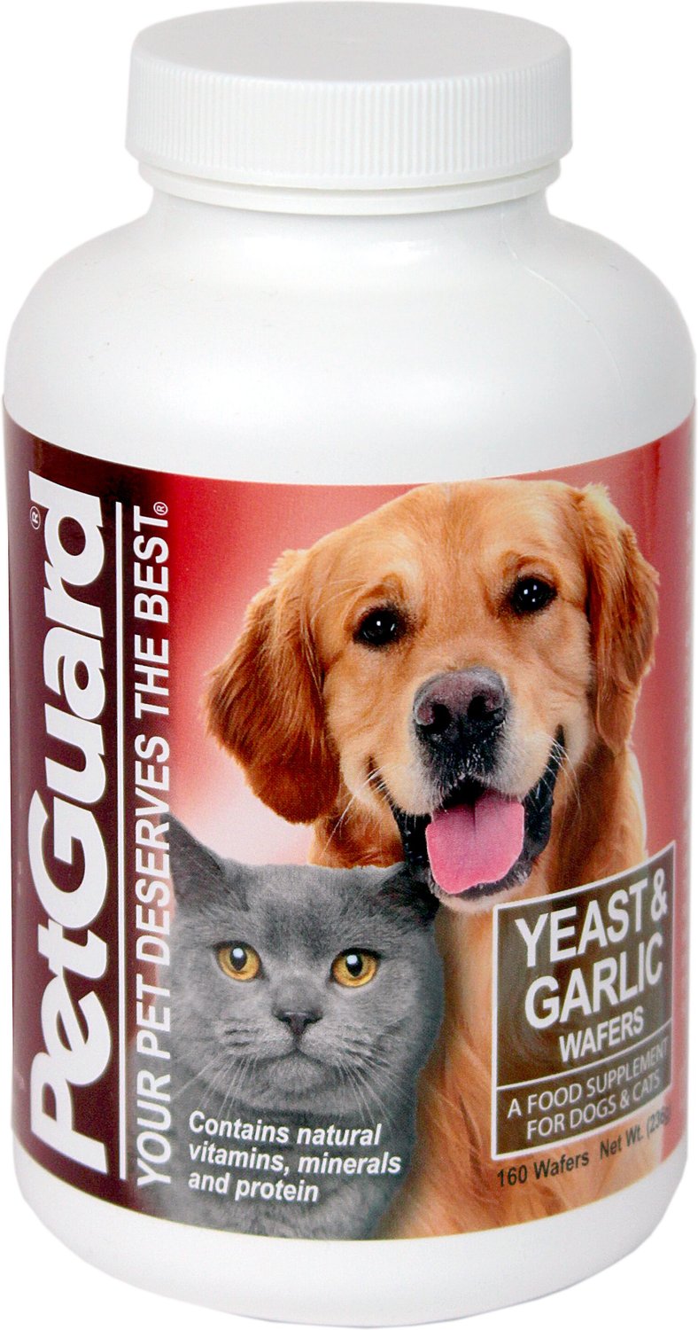 dog and cat vitamins