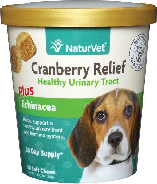 NaturVet Cranberry Relief Plus Echinacea Soft Chews Urinary Supplement for Dogs, 60 count slide 1 of 5
