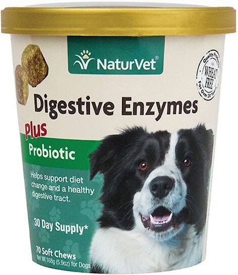 NaturVet Digestive Enzymes Plus Probiotic Soft Chews Digestive Supplement for Dogs, 70 count slide 1 of 6