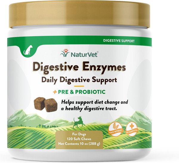NaturVet Digestive Enzymes Plus Probiotic Soft Chews Digestive Supplement for Dogs, 120 count slide 1 of 6