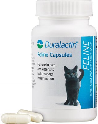 Duralactin Feline Capsules Cat Supplement, slide 1 of 1