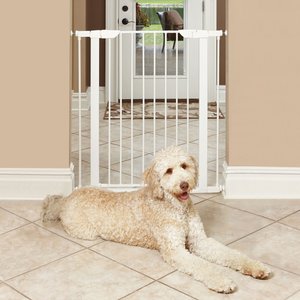 MidWest Steel Pet Gate, White, 39-in