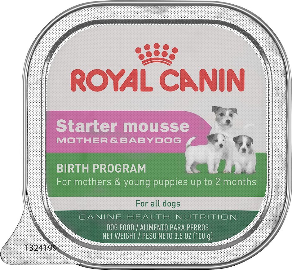 royal canin mini starter