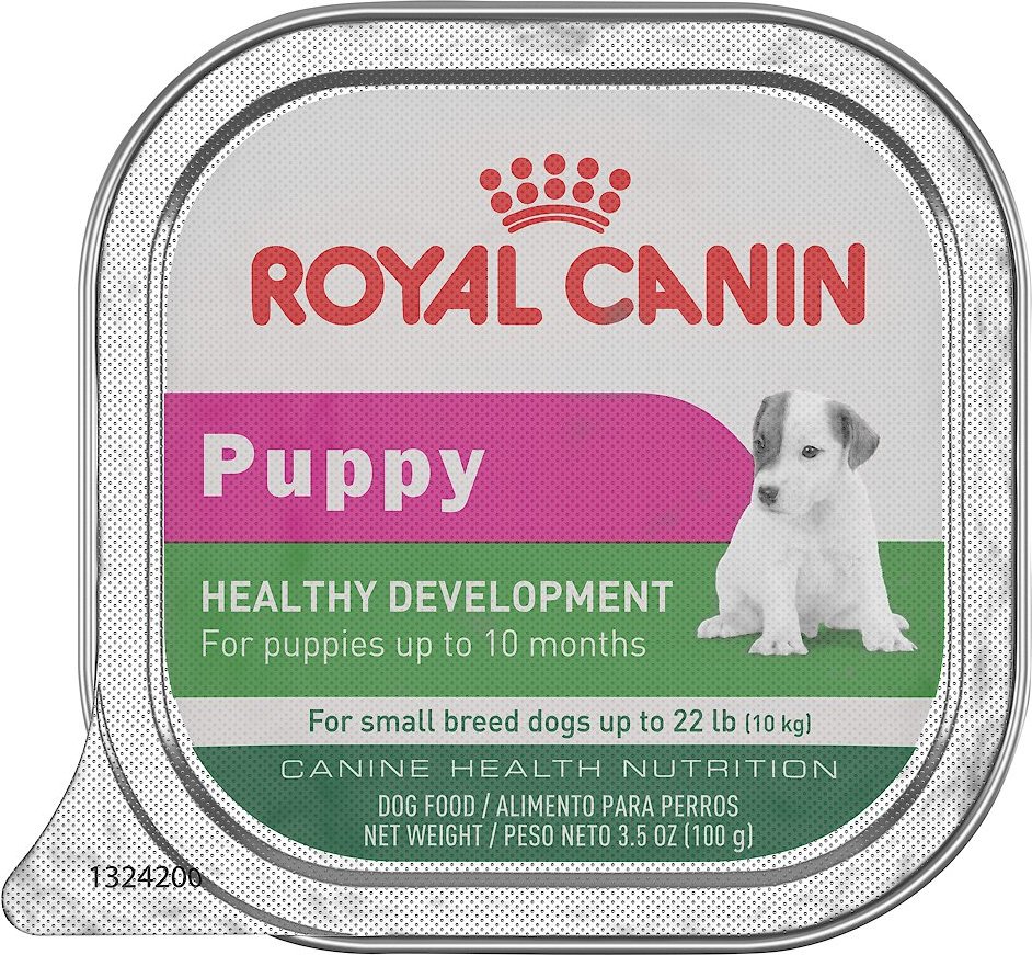 royal canin small puppy food