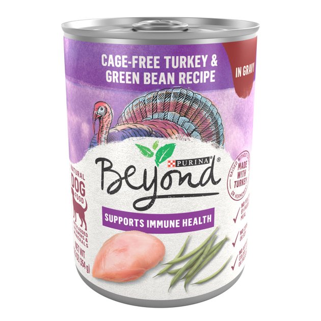 Purina Beyond Turkey & Green Bean Recipe in Gravy Grain-Free Canned Dog ...