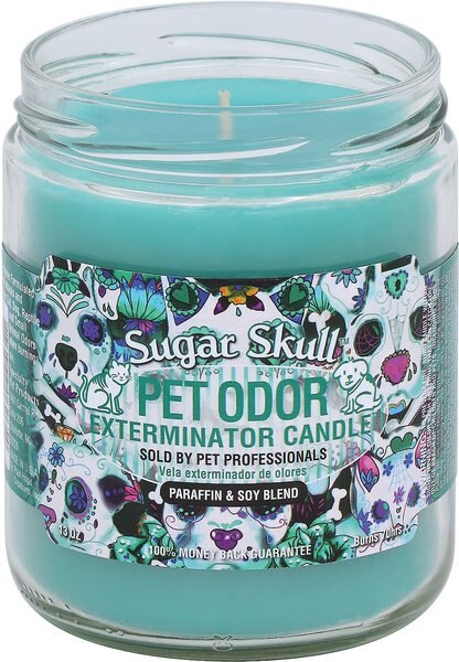 Pet Odor Exterminator Sugar Skull Deodorizing Candle, 13-oz jar slide 1 of 5