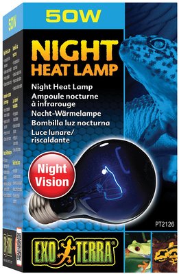 EXO TERRA Night Heat Bulb Reptile Lamp, 15-w bulb - Chewy.com