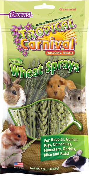 Brown's Tropical Carnival Natural Wheat Sprays Small Animal Treats, 1.5-oz bag slide 1 of 4