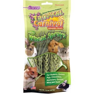 Brown's Tropical Carnival Natural Wheat Sprays Small Animal Treats, 1.5-oz bag