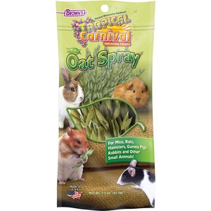 Brown's Tropical Carnival Oat Spray Small Animal Treats, 1.5-oz bag