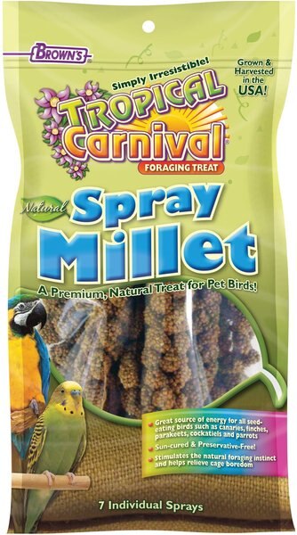 Brown's Tropical Carnival Natural Spray Millet Bird Treats, 7 count slide 1 of 2