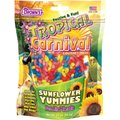 Brown's Tropical Carnival Sunflower Yummies Bird Treats, 3.5-oz bag