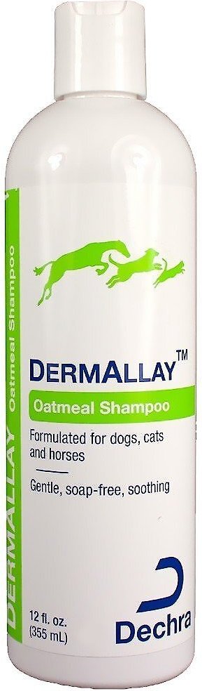 DermAllay Oatmeal Shampoo for Dogs, Cats & Horses