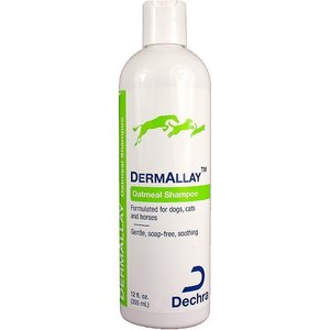 DermAllay Oatmeal Shampoo for Dogs, Cats & Horses, 12-oz bottle
