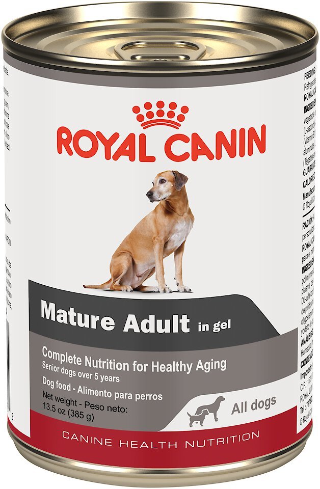 ROYAL CANIN Mature Adult in Gel Canned 