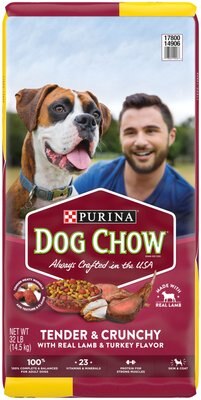 Dog Chow Tender & Crunchy with Real Lamb Dry Dog Food, slide 1 of 1